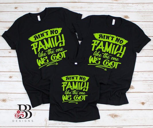 Ain't No Family...Shirt (Adult)